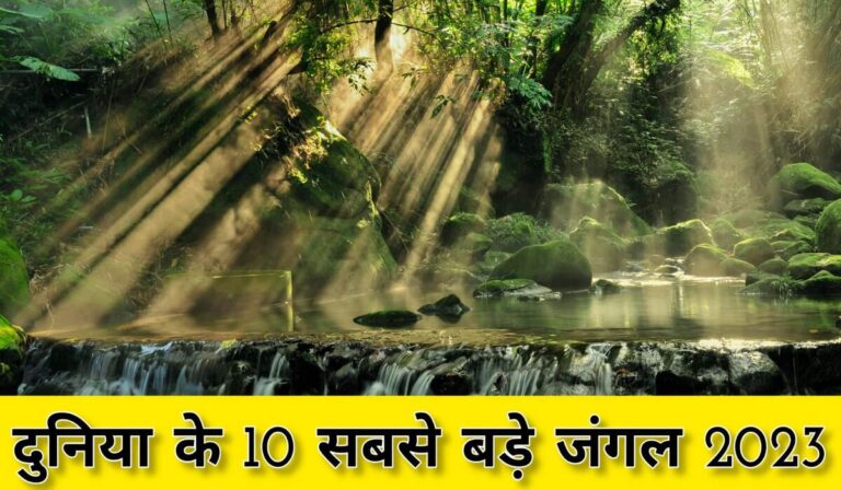 Duniya ka Sabse Bada Jungle | ये है दुनिया के 10 सबसे बड़े जंगल