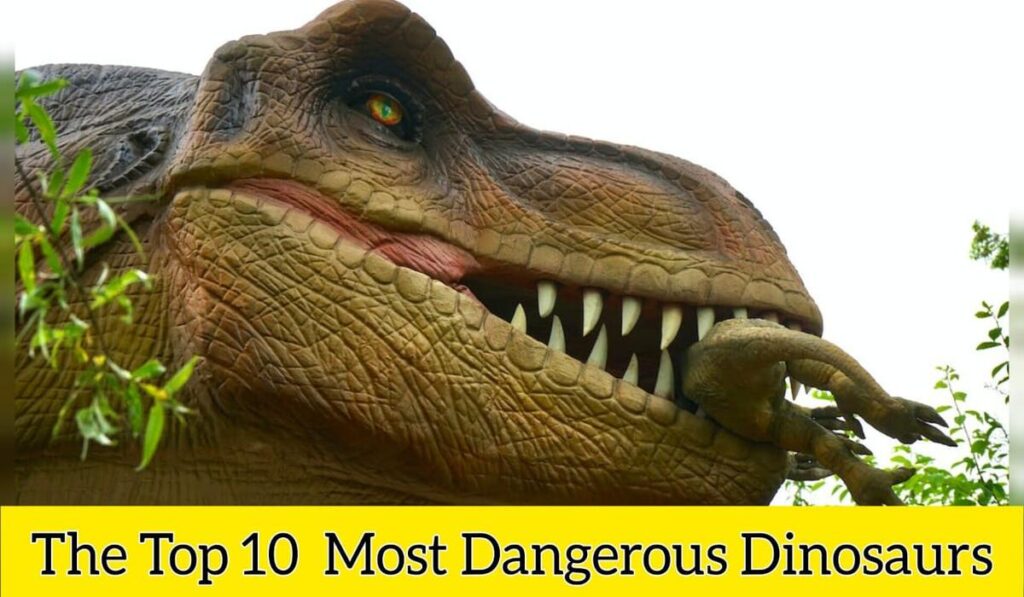 The Most Dangerous Dinosaurs