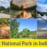 Biggest National Park in India 2024